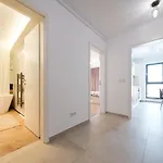 Brand New Luxury In The Heart Of