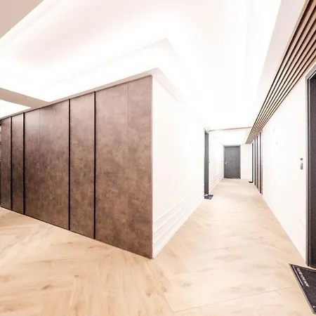 Brand New Luxury In The Heart Of Apartment *